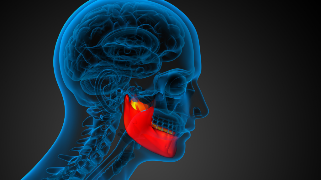 Dental Implants and Bone Health: Preserving Jaw Structure for a Lasting Smile 